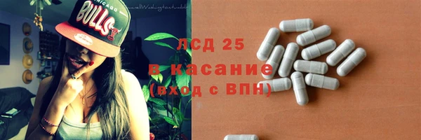 сатива Беломорск