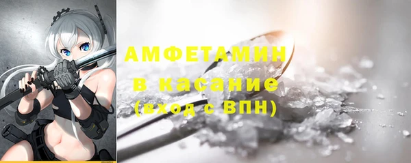 сатива Беломорск