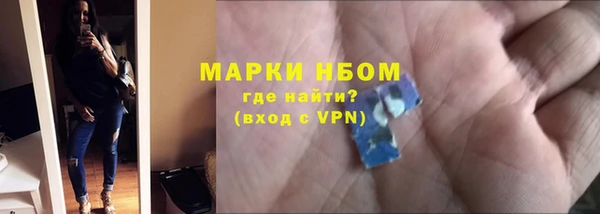 сатива Беломорск