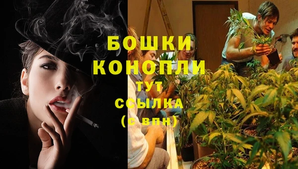 метадон Магас