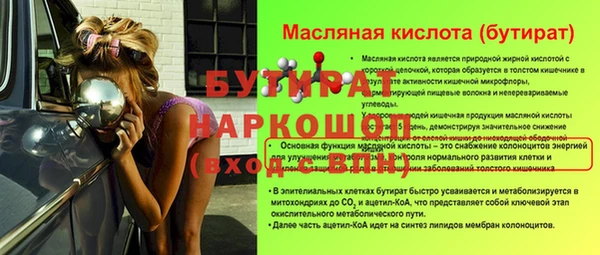 сатива Беломорск