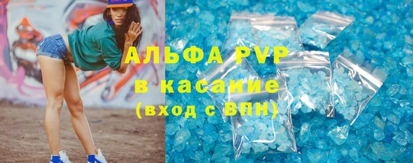 сатива Беломорск