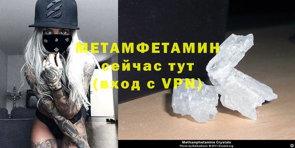 сатива Беломорск