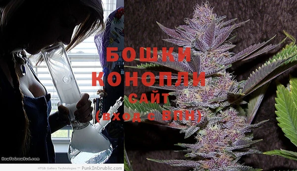 гидра Белоозёрский