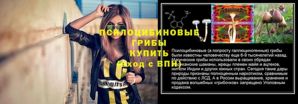 гидра Белоозёрский