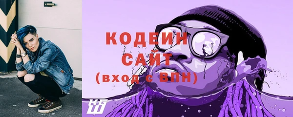 сатива Беломорск