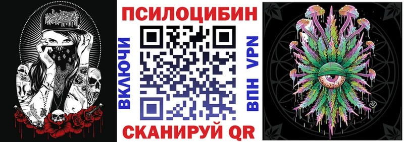 omg ссылка  Заволжск  Галлюциногенные грибы MAGIC MUSHROOMS 